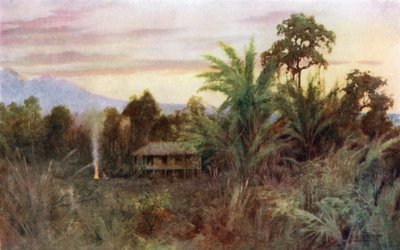 Una foresta Tai da Robert George Talbot Kelly